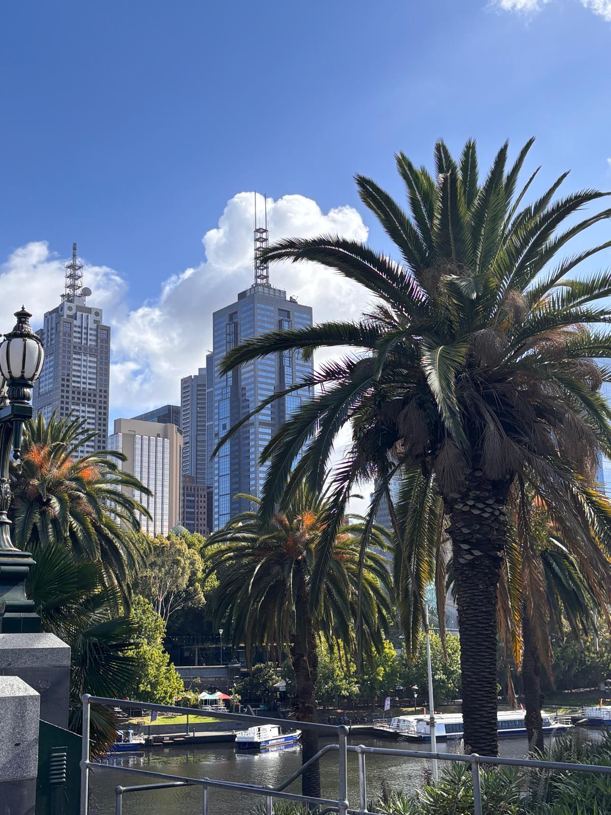 WhatsApp Image 2026 04 26 at 10.28.52 1