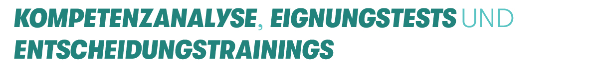 Kompetenzanalyse Headline