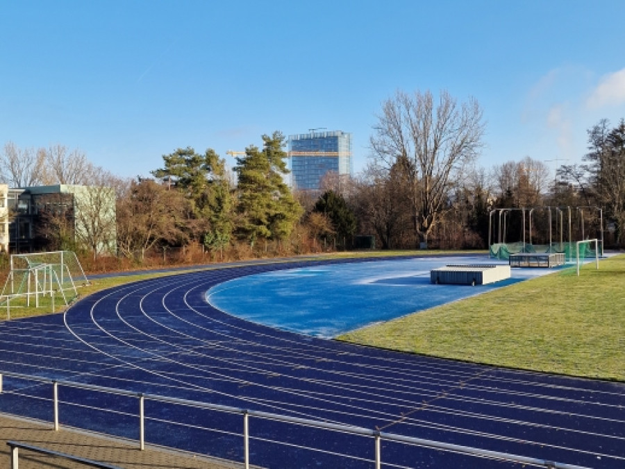 Sport